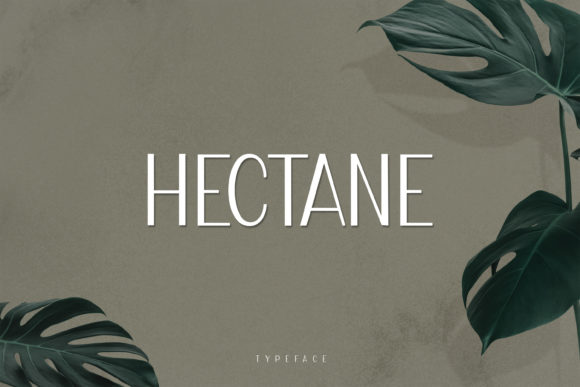 Hectane: The Modern Display Font That Elevates Creative Projects